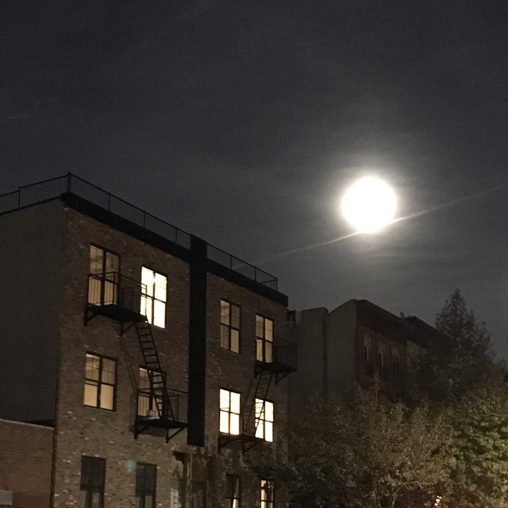 Meet your Posher, Alana